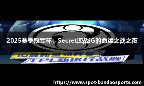 2025赛季冠军杯：Secret迎战iG的命运之战之夜