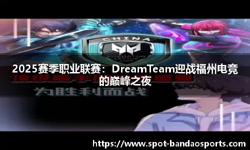 2025赛季职业联赛：DreamTeam迎战福州电竞的巅峰之夜